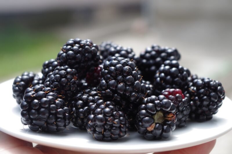 Freeze-Dried Blackberry