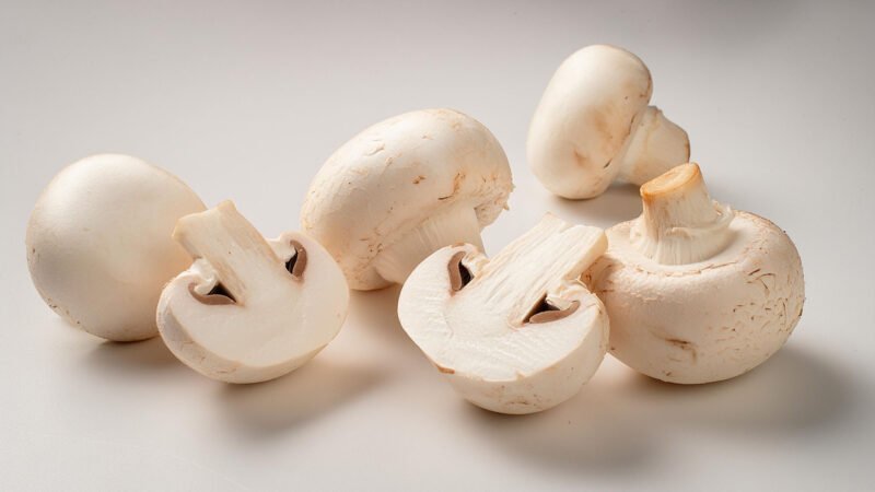 Freeze-Dried Mushrooms