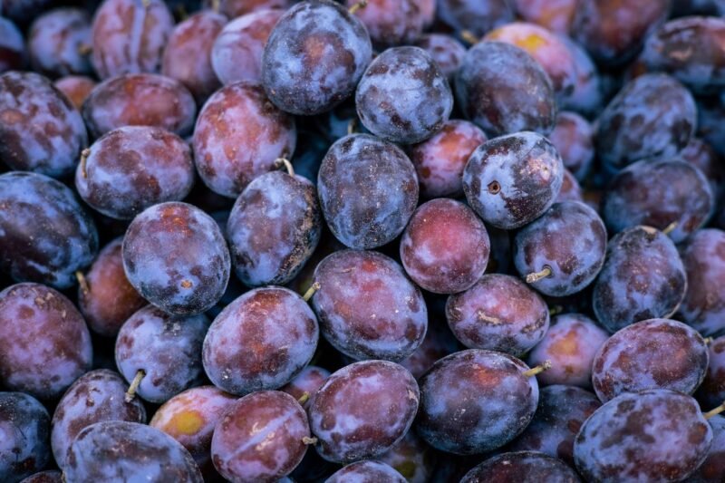 Freeze-Dried Plums