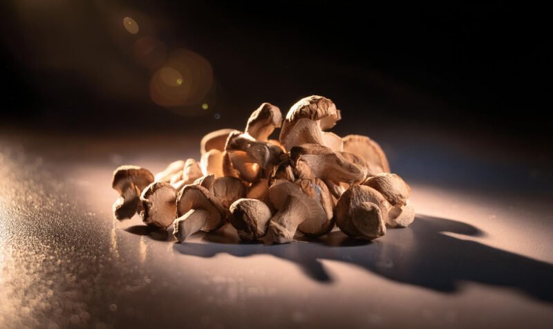 Freeze-Dried Mushrooms